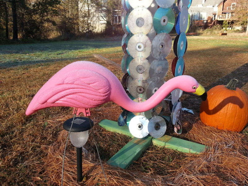 06_frost_on_the_flamingo.jpg