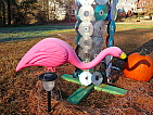 06_frost_on_the_flamingo.jpg