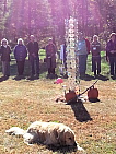 17b_fiddler__service_dog_with_squeaky_toy__closing_ceremony_entertainment.jpg